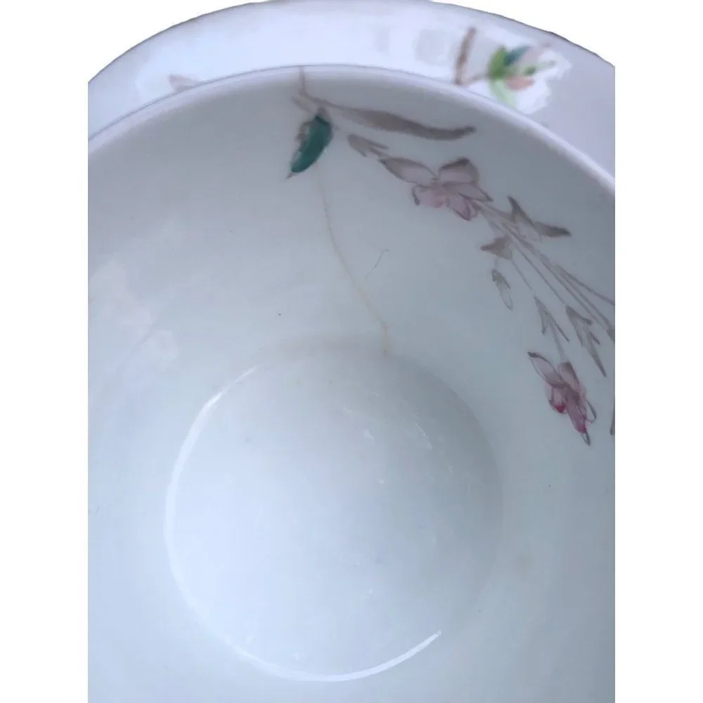 Antique W.A.A. William A Adderley bone China cup and saucer  THORN Birds